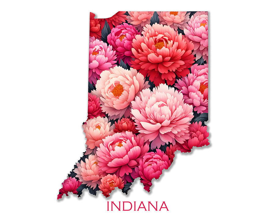 WanderFlowers-Indiana: Peony