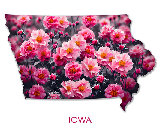 WanderFlowers-Iowa: Prairie Rose