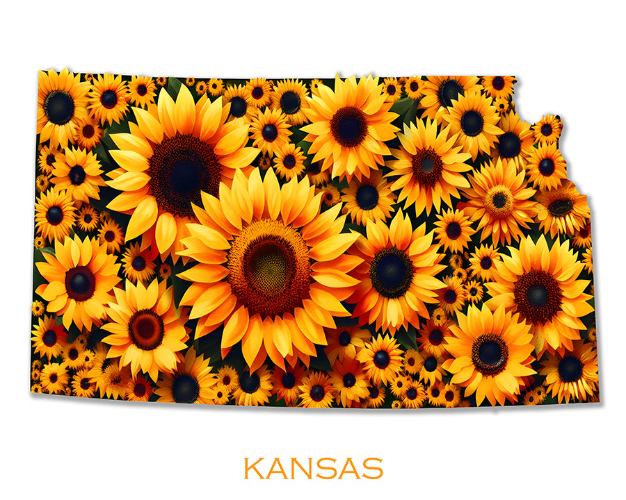 WanderFlowers-Kansas: Wild Sunflower