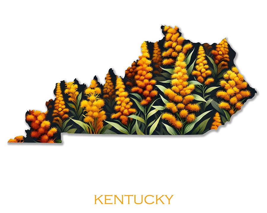 WanderFlowers-Kentucky: Goldenrod