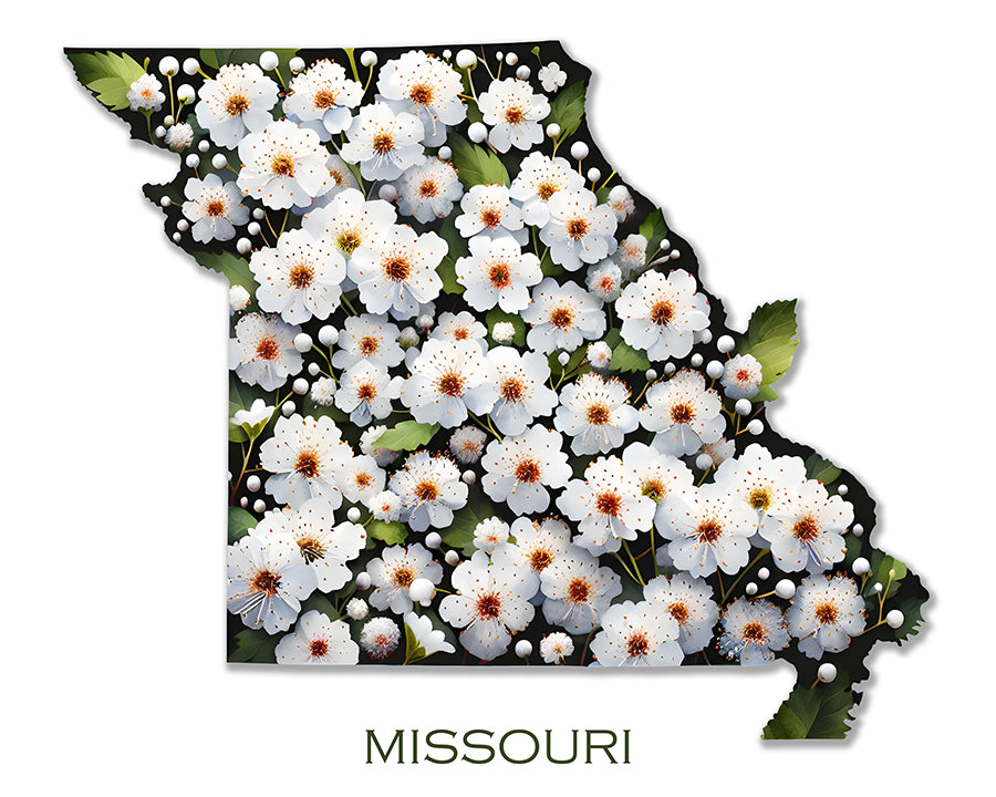 WanderFlowers-Missouri: Hawthorn Blossom