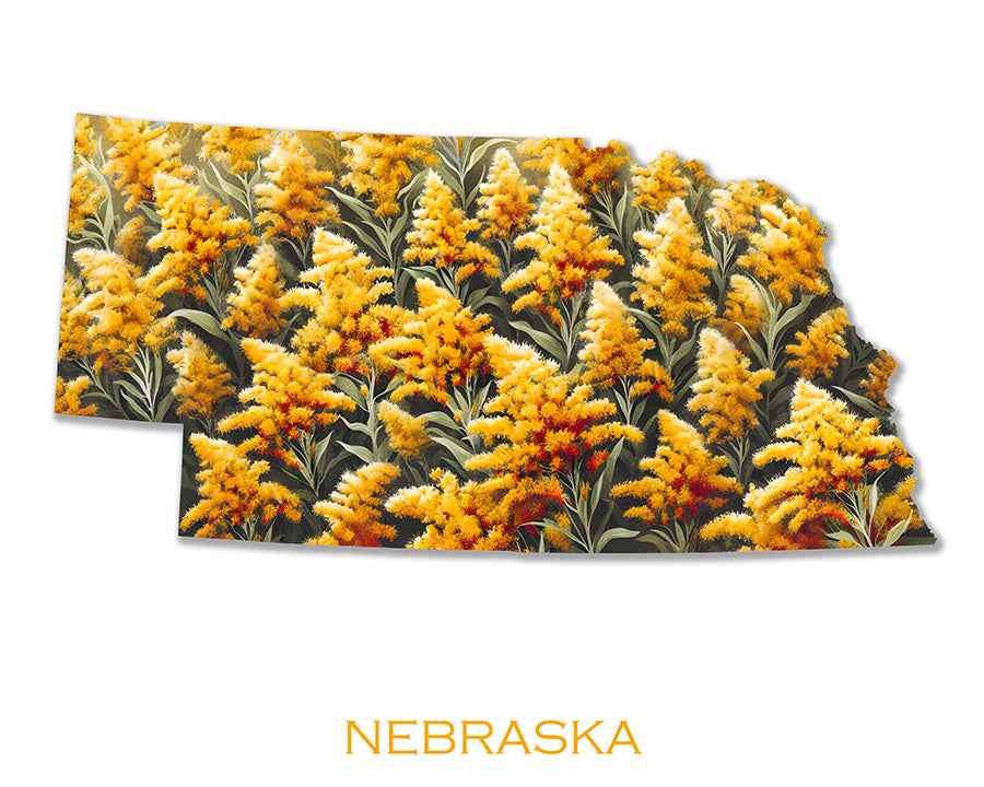 WanderFlowers-Nebraska: Goldenrod