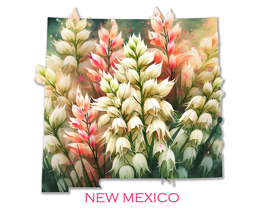 WanderFlowers-New Mexico: Yucca Flower