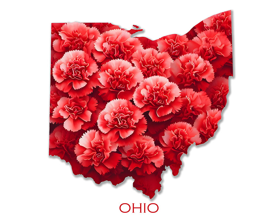 WanderFlowers-Ohio: Red Carnation