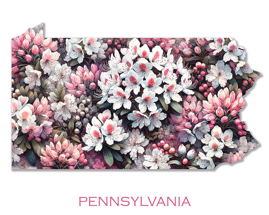 WanderFlowers-Pennsylvania: Mountain Laurel