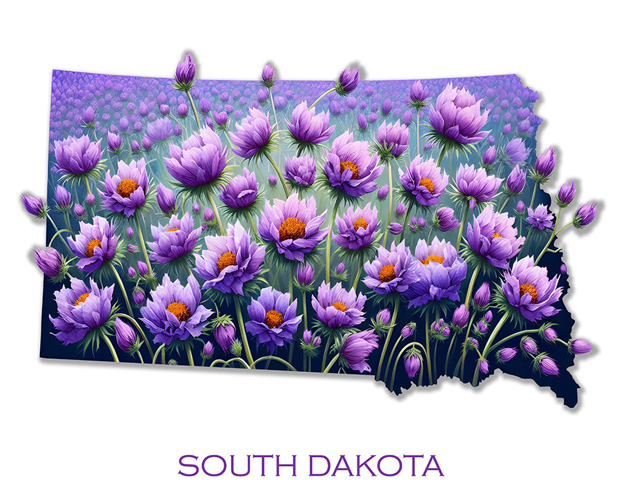 WanderFlowers-South Dakota: American Pasque