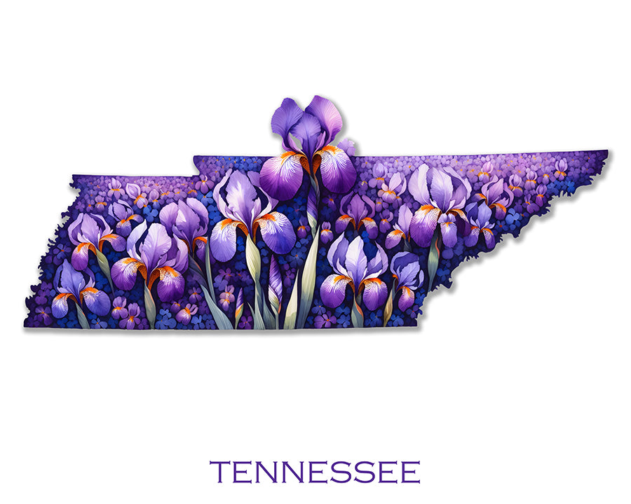 WanderFlowers-Tennessee: Iris