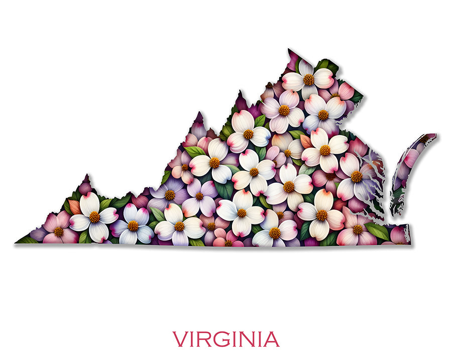 WanderFlowers-Virginia: Flowering Dogwood