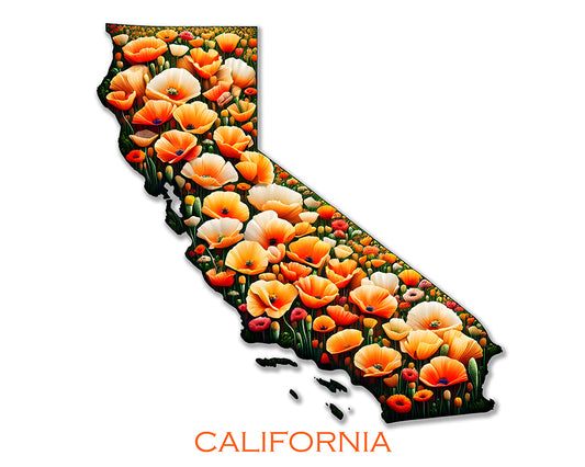 WanderFlowers-California: California Poppy