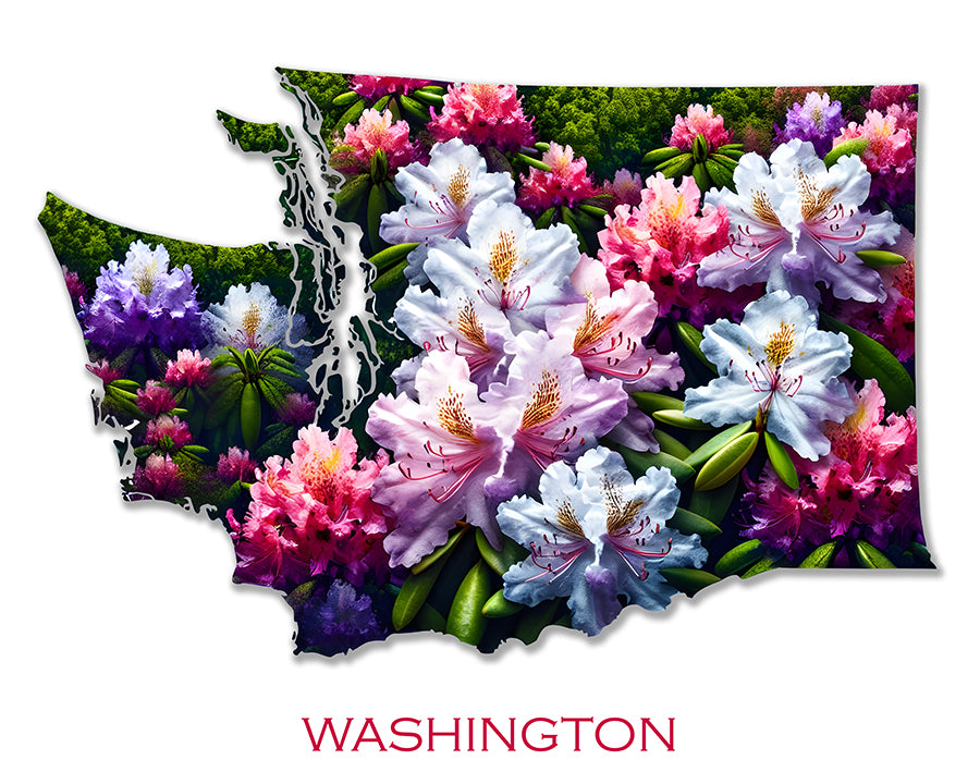 WanderFlowers-Washington: Pacific Rhododendron