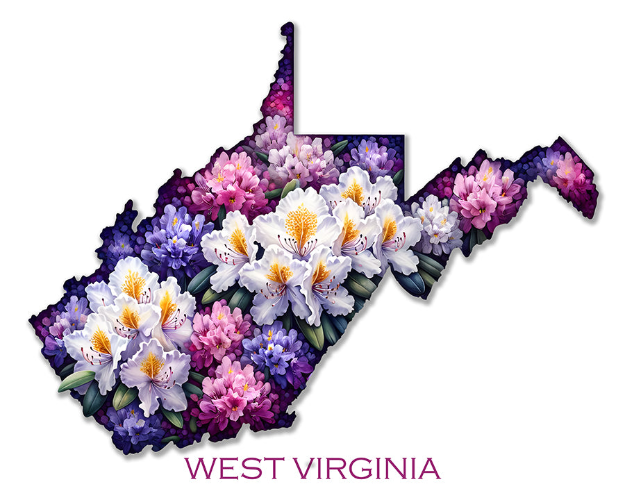 WanderFlowers-West Virginia: Rhododendron